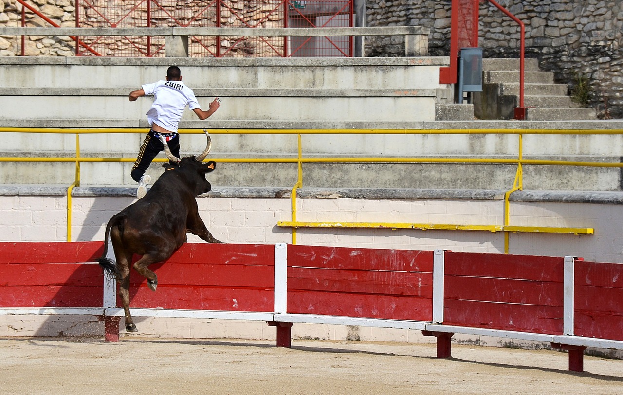 奥尔莫